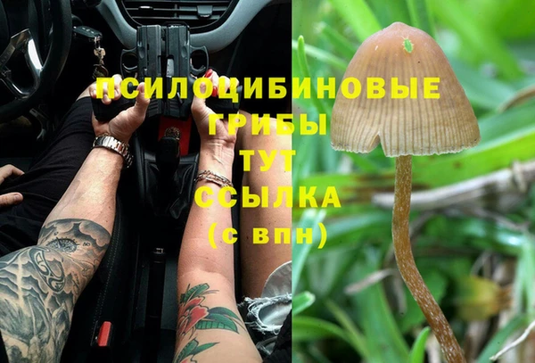 хмурый Армянск