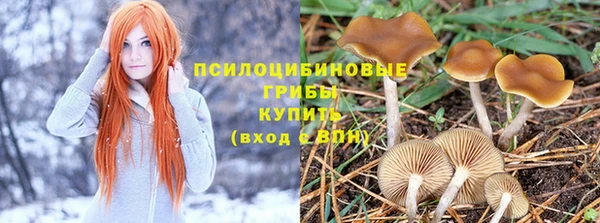 СК Арсеньев