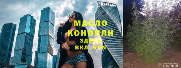 гидра Надым