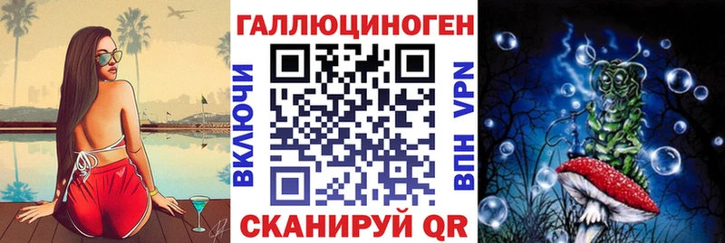 blacksprut зеркало где купить наркоту Волгодонск Псилоцибиновые грибы мицелий